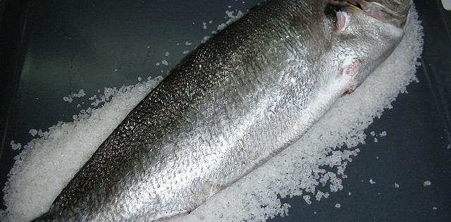 >Corvina se destaca pela riqueza em vitaminas e proteínas Corvina se destaca pela riqueza em vitaminas e proteínas