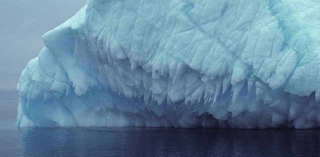 Um terço da vida marinha pode desaparecer nas próximas décadas