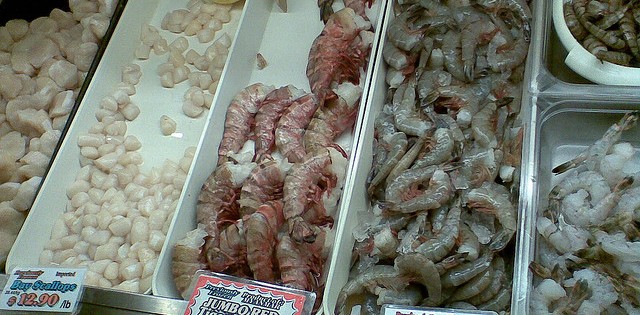 Parasita prejudica pesca de camarão na costa sudeste do Atlântico   