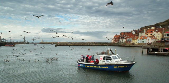 >Santa Catarina é o maior produtor de pescado de origem marinha do país, diz pesquisa Santa Catarina é o maior produtor de pescado de origem marinha do país, diz pesquisa