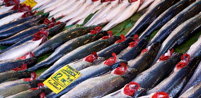 >Pescado representa 17% da proteína consumida no mundo Pescado representa 17% da proteína consumida no mundo