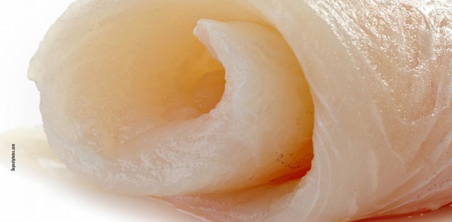 >Polêmica dos filés asiáticos mobiliza setor Polêmica dos filés asiáticos mobiliza setor