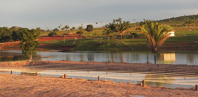 >Sorriso (MT) cresce com a piscicultura e lidera ranking nacional Sorriso (MT) cresce com a piscicultura e lidera ranking nacional