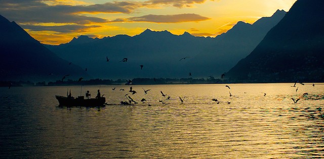 >Brasil importa 87% mais panga vietnamita Brasil importa 87% mais panga vietnamita