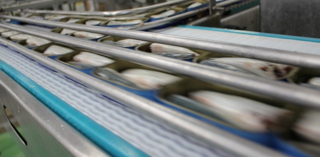 >Torne-se um especialista em gestão do pescado: USP/Esalq dá curso on-line Torne-se um especialista em gestão do pescado: USP/Esalq dá curso on-line