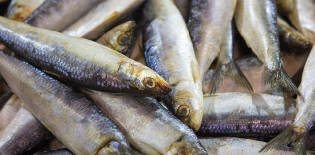 Coluna da Qualidade | Histamina em pescado