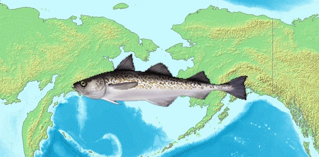 >Cenário não é dos melhores para a polaca do Alasca, diz FAO Cenário não é dos melhores para a polaca do Alasca, diz FAO