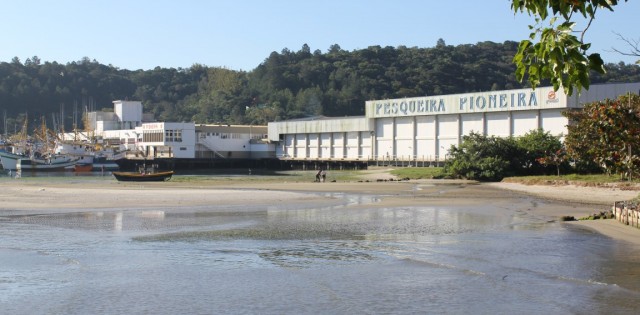 >Pioneira da Costa não foi vendida, diz direção da empresa Pioneira da Costa não foi vendida, diz direção da empresa