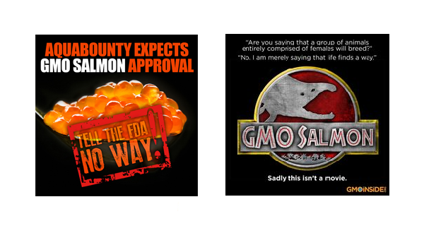 >Coluna da Qualidade | Salmão geneticamente modificado é seguro para o consumo humano? Coluna da Qualidade | Salmão geneticamente modificado é seguro para o consumo humano?