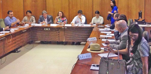 >Setor cobra que Mapa defina secretário; pasta acena com flexibilização de licenças e fomento às indústrias Setor cobra que Mapa defina secretário; pasta acena com flexibilização de licenças e fomento às indústrias