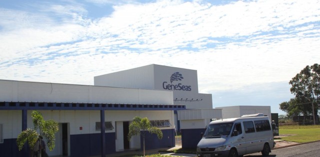 >Nova regra do Mapa dá a empresas sifadas habilitação automática à exportação; Geneseas deve dobrar volume Nova regra do Mapa dá a empresas sifadas habilitação automática à exportação; Geneseas deve dobrar volume