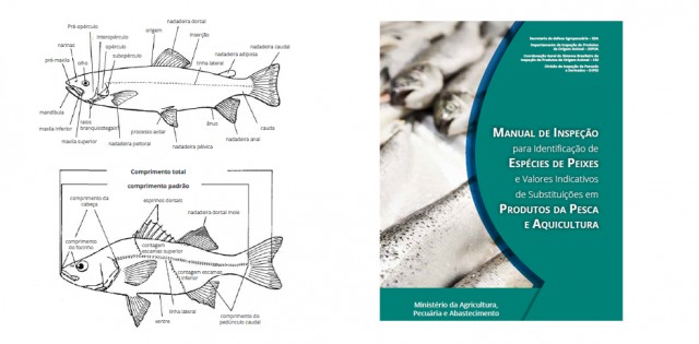 >Mapa lança manual anti-fraude no pescado Mapa lança manual anti-fraude no pescado