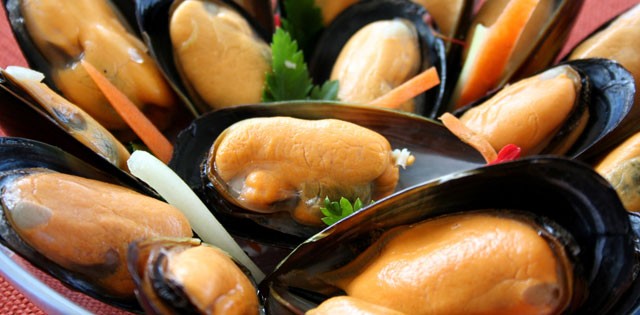 >Mesmo com preço 38% menor, venda de mexilhão chileno ao Brasil cai 28% até abril Mesmo com preço 38% menor, venda de mexilhão chileno ao Brasil cai 28% até abril