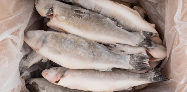 >IN que define percentual de glazing e pH do pescado congelado está em consulta pública até fevereiro IN que define percentual de glazing e pH do pescado congelado está em consulta pública até fevereiro