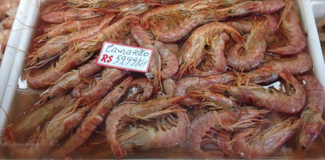 >Depois da Europa, camarão argentino ganha espaço nos EUA Depois da Europa, camarão argentino ganha espaço nos EUA
