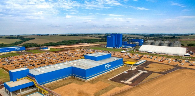 Com novo complexo de abate de tilápias, C.Vale terá de superar custo energético