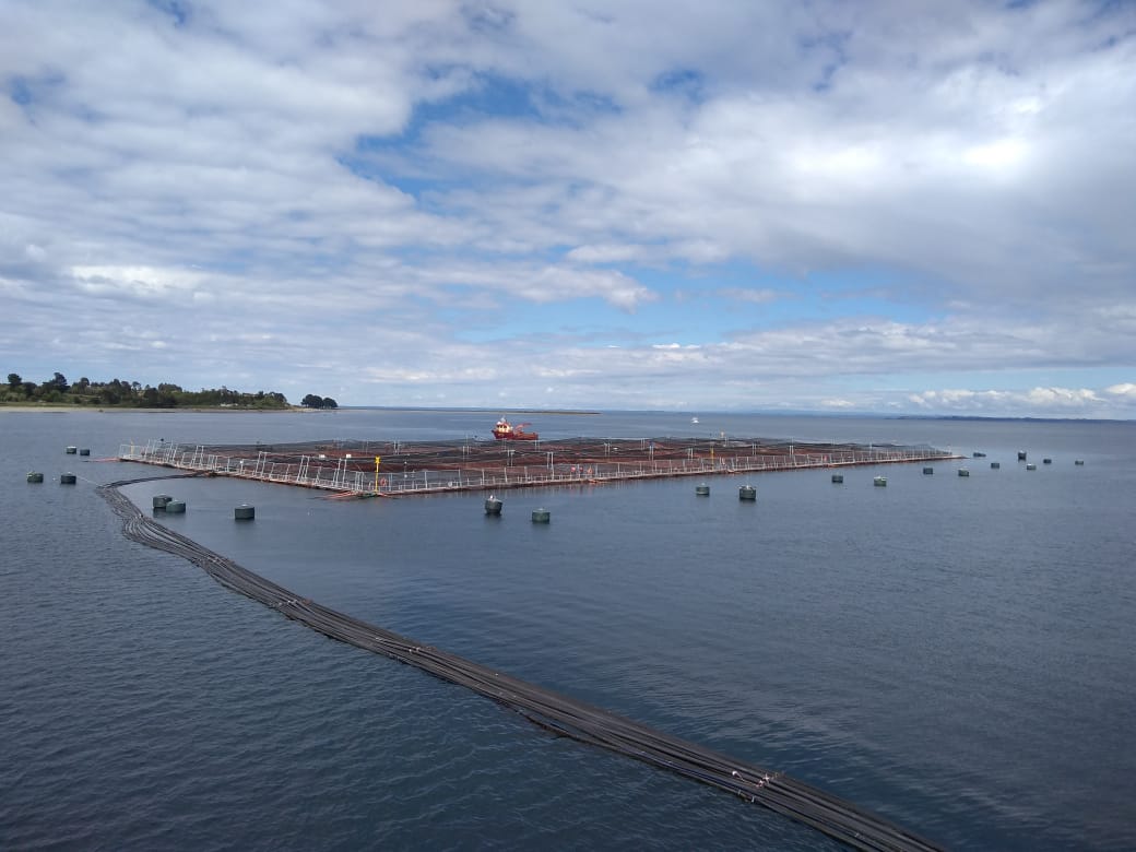 >AquaSur 2018: Chile quer liderar aquicultura mundial AquaSur 2018: Chile quer liderar aquicultura mundial